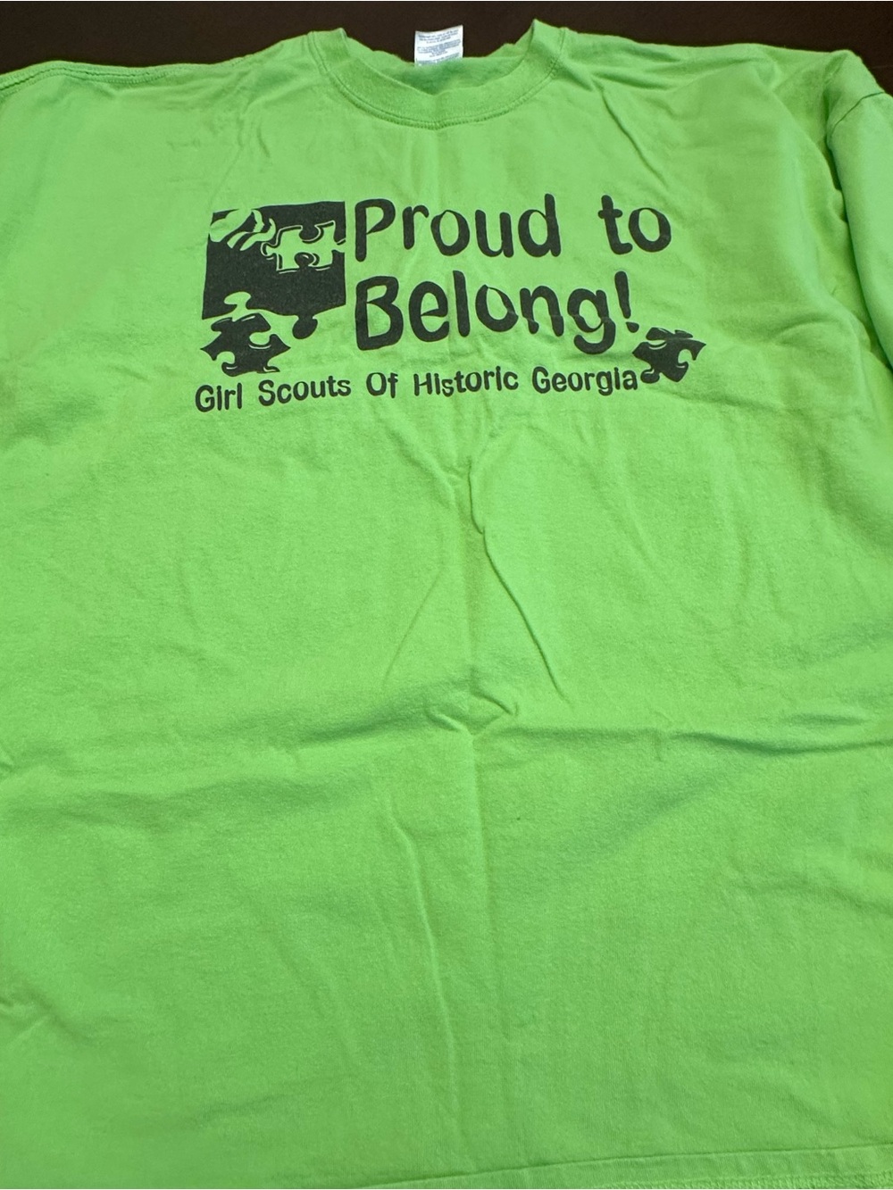 Vintage Girl Scouts of Historic Georgia “Proud to Belong!” Graphic T-Shirt